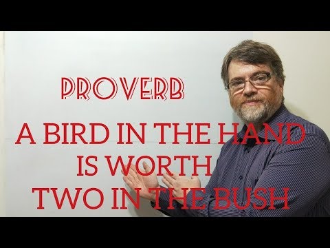 Tutor Nick P Proverbs (25) A Bird in Hand Is Worth Two in the Bush