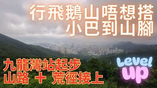 【行山都要慳錢系列】上飛鵝山腳唔搭小巴｜行山路+荒徑｜荒徑易行｜唔洗搭小巴｜輕鬆易行｜陰暗位多｜秘景｜詳細路況