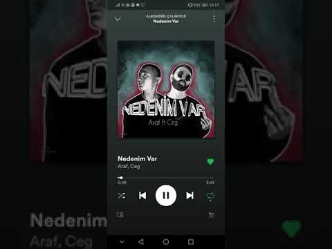 Ceg-ft.Araf Nedenim Var