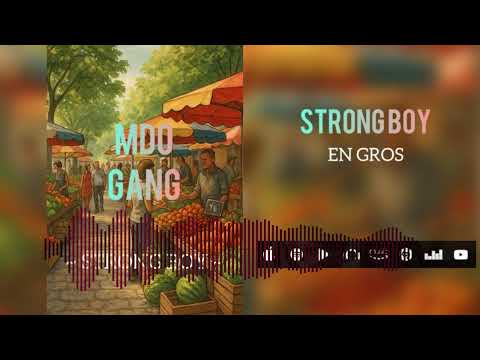 StronG _ENGROS (Audio visualizer)2025