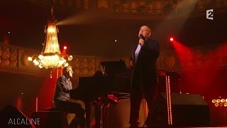 Alcaline, le Mag : Michel Jonasz - Je voulais te dire que je t'attends en live