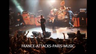 THE RIFLES turtle dove