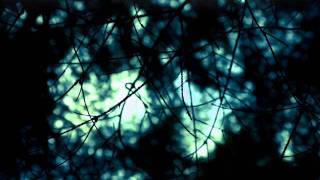 Velvet Acid Christ - Falling Snow (Vereinsamt) POLSKI