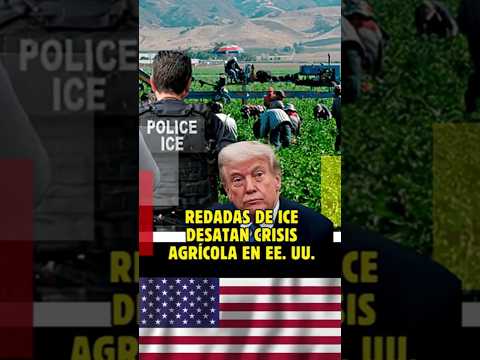 El cielo de Newark en alerta, un llamado urgente a la acción