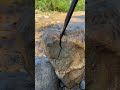 Fit the stone #goldrush #treasure #treasuresearch #fish #stone #satisfying #snow #beach #mining