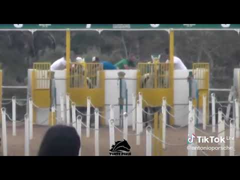 Corridas de cavalo, desafio:  Dick Brummel x Verdugo