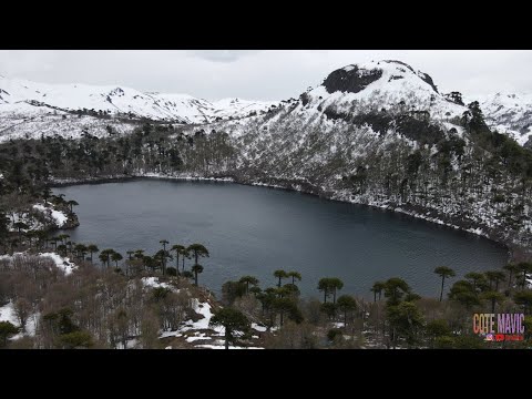 LAGUNA LA MULA... 🏔 RESERVA NACIONAL RALCO...4k..ALTO BIO BIO