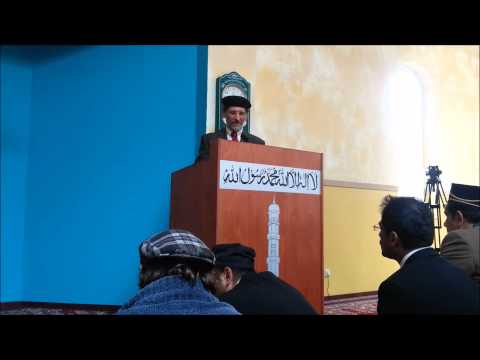 Mohammad Film reaktionen 2012