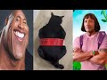TRY NOT TO LAUGH 😆 Best Funny Videos Compilation 2023-2024 😂😁😆 #64