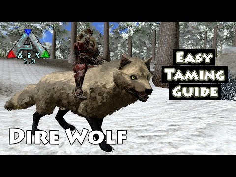 (Tagalog) Guide on How to Tame a Dire Wolf | Ark Mobile Taming Tutorial