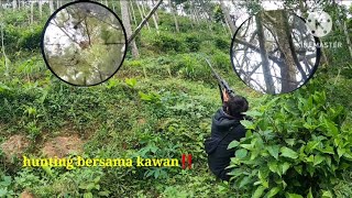 Download lagu Hunting hama tupai dilereng gunung‼️ mp3 Download lagu Hunting hama tupai dilereng gunung‼️ mp3
