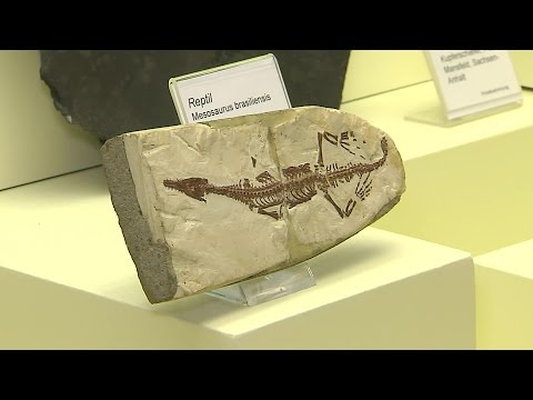 Im Reich der Kristalle in München