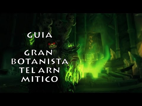 Guía y consejos en Castellano - Gran Botanista Tel'arn Mítico