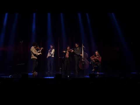 Tcha Limberger et les Violons de Bruxelles - Without my Walking Stick