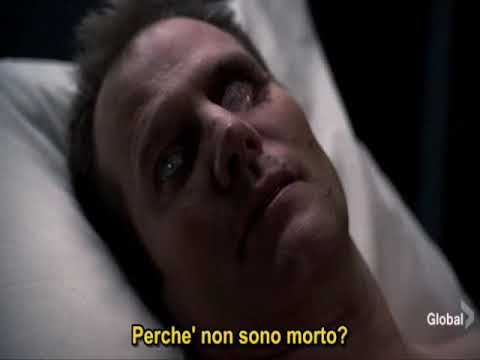 Tristan Garner   Give Love Heroes