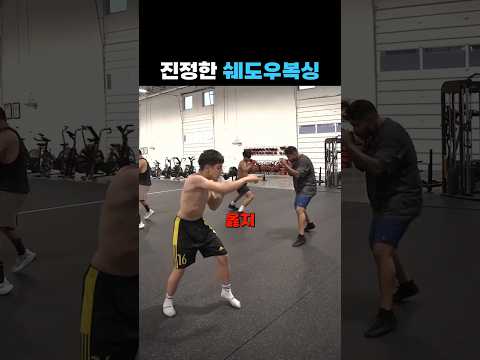 쉐도우복싱 레전드