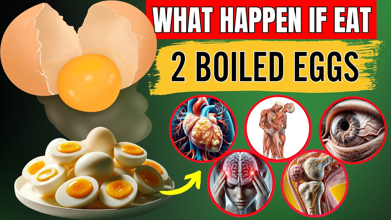 When You Eat 2 Eggs Every Day, Here's What Happened to Your Body (it is BAD??) (PROVEN)