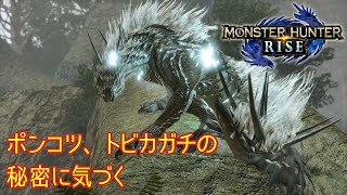 #16 【MHRise／Steam版】学芸会に付き合うトビカガチ(ゆっくり実況)