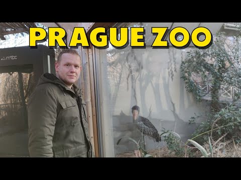 Prague Zoo | Czech Republic