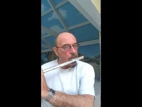 Ian Anderson at Gallagher Bluedorn