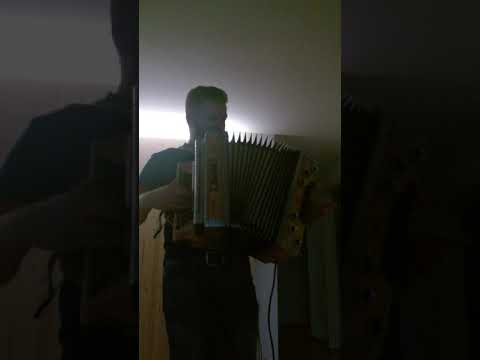 Steirische Harmonika Bauer sucht Frau