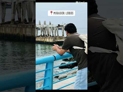 Fui a Valparaiso & Viña Del Mar por conta própria !!! #travel #viñadelmar #valparaiso #viagem