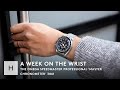 The Omega Speedmaster 3861: A Pretender Or Legitimate Heir To The Throne? | A Week On The Wrist