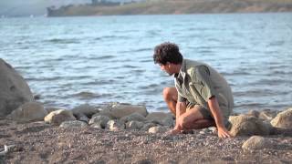 Clínica de Payasos Mentales - Trailer II (ESTRENO)