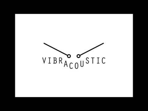 teaser Vibracoustic