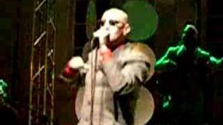 G.Palma &amp; the Bluebeaters - Poison Ivy