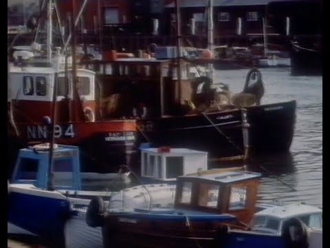 Thursday 9th July 1981 BBC2