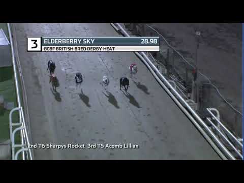 2020 BGBF BRITISH BRED DERBY - HEAT 2 - T3 ELDERBERRY SKY