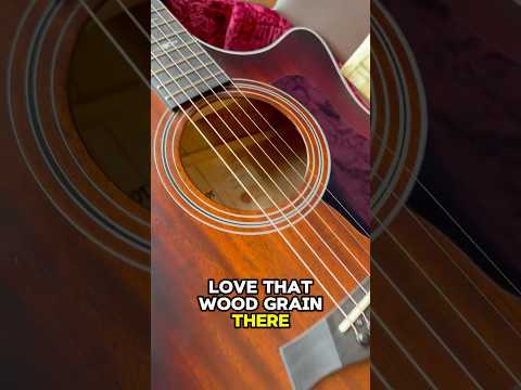 2021 Taylor 324ce Grand Auditorium V-Class Bracing - Shaded Edge Burst image 26