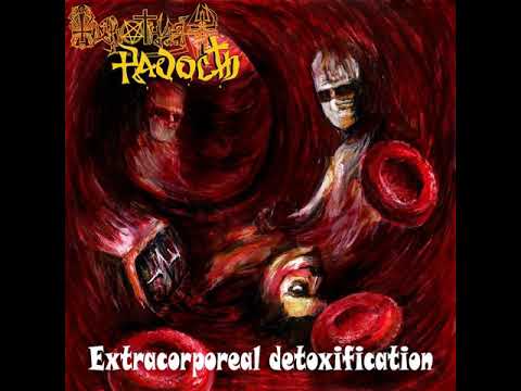 MetalRus.ru (Death Metal). ЖИВОТНАЯ РАДОСТЬ — «Extracorporeal Detoxification» (2018) [Single]