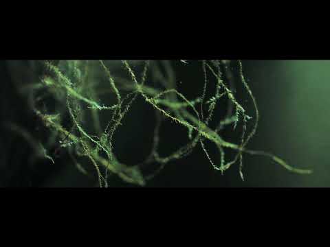 ONE WAY - NUNO & TOMASZ PAUSZEK & ROBERT CZURAK