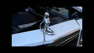 Fly Lady on my grille, super fly keep it trill