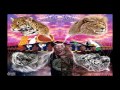 The Underachievers - 06 Sonorous (Cellar Door ...