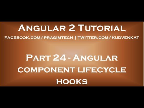 Angular component lifecycle hooks