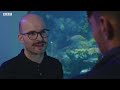 Keeping Exotic Fish as Pets | Dan O’Neill Investigates | BBC Studios - Video