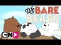 Wat Beren Leren | De Weg | Cartoon Network