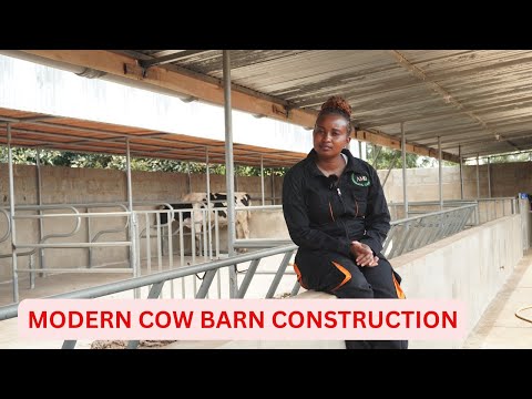 HOW TO CONSTRUCT A MODERN COW BARN/COW SHED