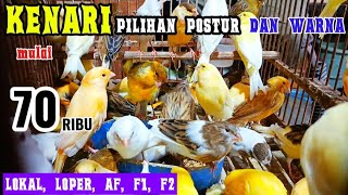 Download lagu UPDATE!!!! TODAY'S WALNUTS PRICE AT H. ROMLI'S KIOSK / SPLINDIT MARKET / MALANG CITY mp3