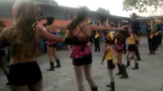 B.D.S JESUS CONTRERA