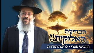 פרשת תולדות | יעקב ועשו: הסיפור שמתחיל במאבק ומסתיים בייעוד | איך מתגברים על קושי רוחני ופיזי ᴴᴰ