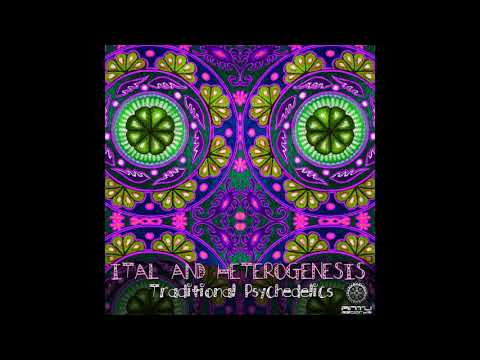 Heterogenesis - Perception