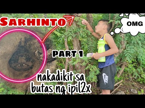 Spider Hunting / (Part 1) SARHINTO nakadikit sa butas ng ipil2x