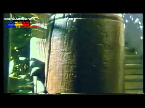 Emil Cioran versus Petre Tutea - exercitiu de admiratie 1/5 full