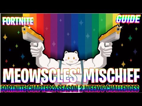 Meowscles' Mischief Challenges | Fortnite chapter 2 season 2 Week 5| Guides | Ninya Tonaya