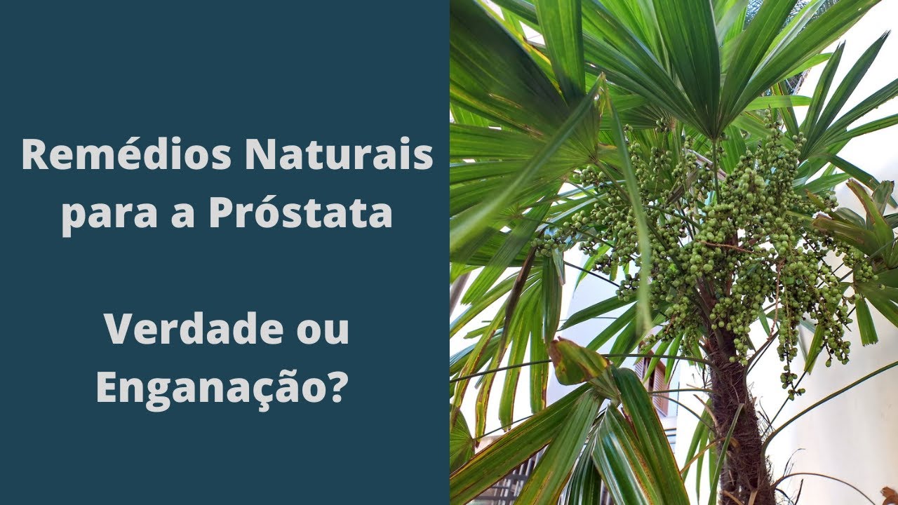 Tratamento Natural para Hiperplasia Benigna Prostática