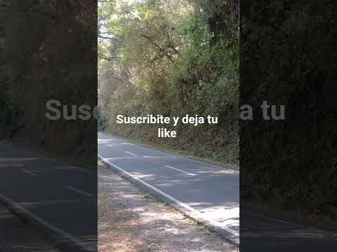 General Güemes Salta